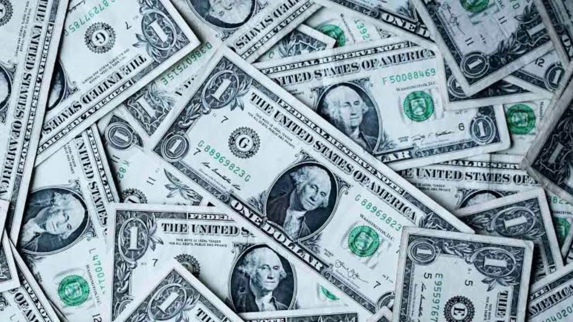 سعر الدولار اليوم فى مصر  FirstBank