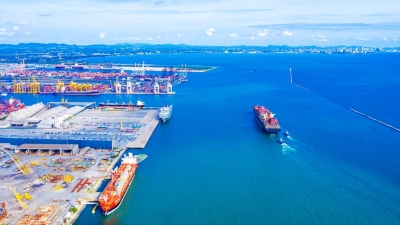 أخضر: ماذا تعرف عن الاقتصاد الأزرق؟!.. وهل بدأت مصر خطواتها في هذا الملف؟