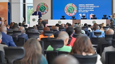 رئيس بنك التنمية الإفريقي يدعو الدول المتقدمة للإلتزام بتعهد تمويل الدول النامية بـ100 مليار دولار سنويًا لدعم المناخ