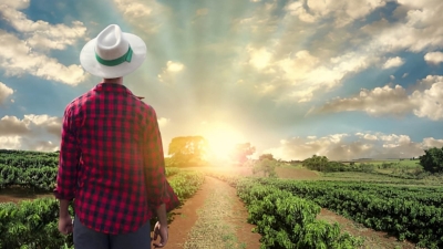 أخضر: الشباب المصري والحد من التداعيات المناخية