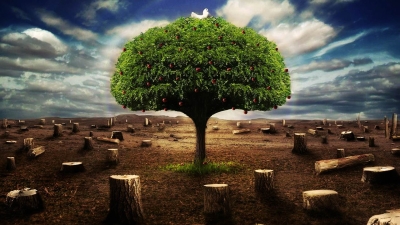 أخضر: تغير المناخ الشبح الذى بات يهدد عصب الحياة في عالمنا