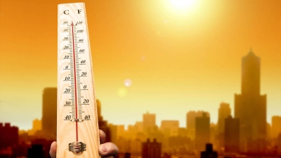 أخضر: كيف تؤثر درجات الحرارة القاسية على الاقتصاد العالمي؟