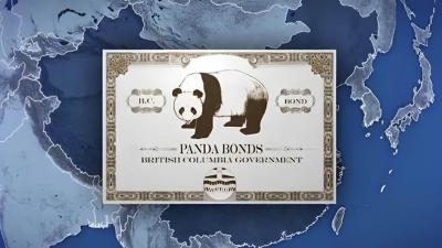 قاموس «First».. ماذا تعرف عن سندات الباندا؟