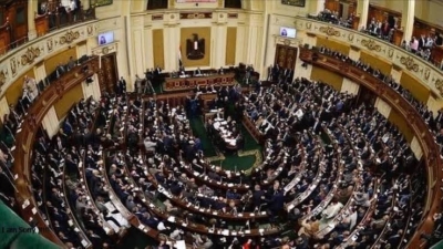 مجلس النواب يوافق على 3 اتفاقيات مع «الوكالة الفرنسية» و«التنمية الإفريقي» و«الآسيوي للاستثمار»