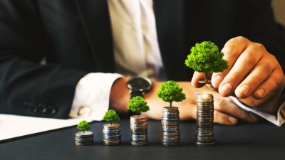 قاموس «First».. ما هى المبادئ الاسترشادية للتمويل المستدام؟