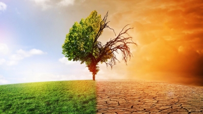 أخضر: أسبوع ساخن بالتطرفات المناخية في دول الخليج.. و«التغير المناخي» المتهم الرئيسي