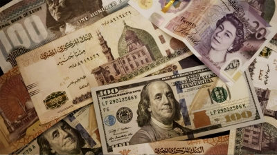 مكونات احتياطي النقد الأجنبي في مصر بنهاية مايو 2024