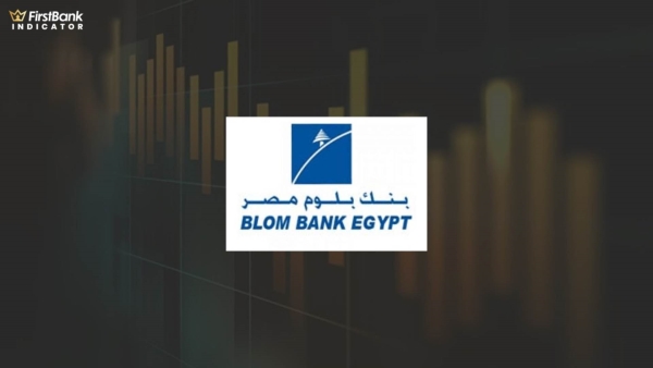 مؤشر الحصص: تطور الحصة السوقية لأصول بنك بلوم مصر