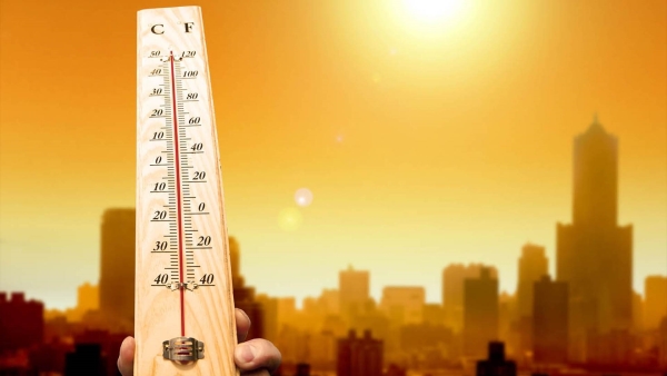 أخضر: درجات حرارة هى الأشد على الإطلاق.. و«المنظمات العالمية» الأسوأ لم يأت بعد