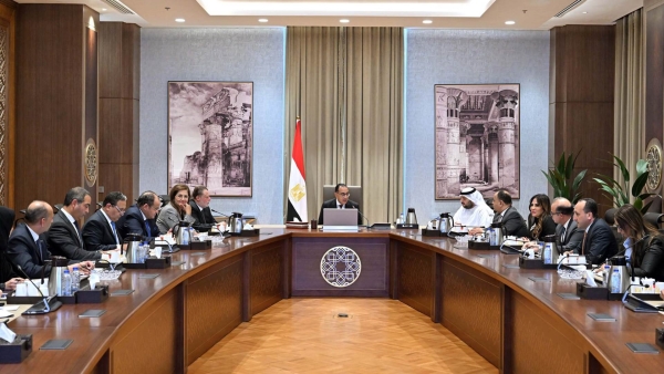 رئيس الوزراء يلتقي وزير الاستثمار بدولة الإمارات العربية المتحدة بحضور محافظ المركزي