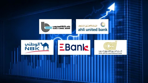 «الأهلي المتحد» و«قناة السويس» و«العربي الأفريقي» أكثر البنوك تركيزًا على قروض المؤسسات بنهاية مارس 2024
